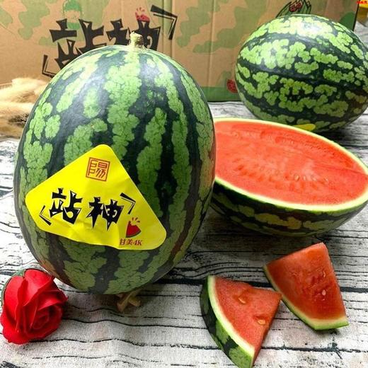 甘美西瓜（5.5–6.5斤） 商品图0