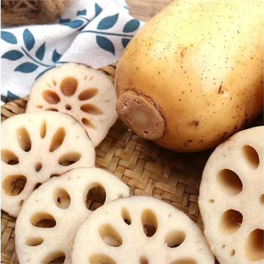 南沙新垦莲藕（真空装） 商品图1