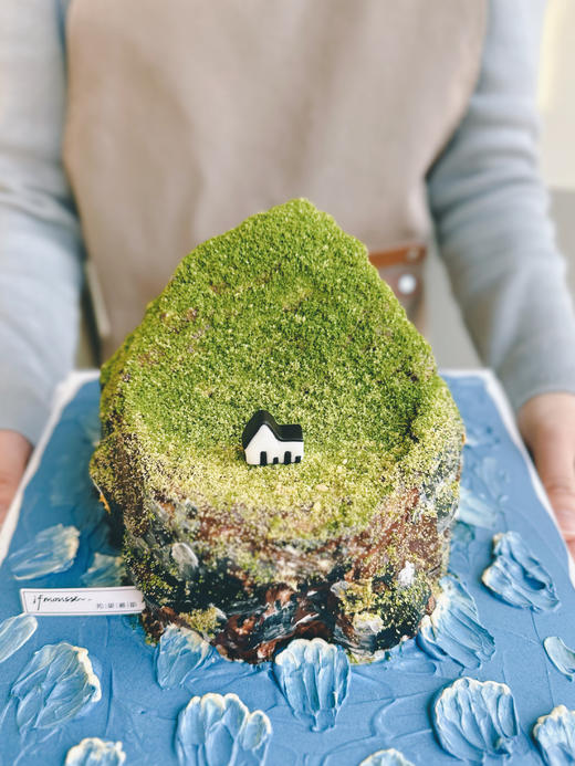 「创意定制」世界上最孤独的岛 微景观蛋糕 商品图1