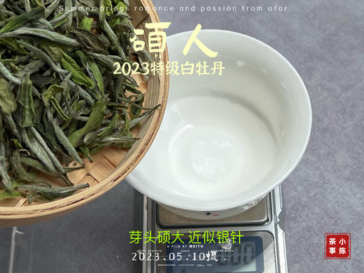【2023春茶】2023牡丹王，今年它剥了叶子就是白毫银针，等级太“高”了 商品图7