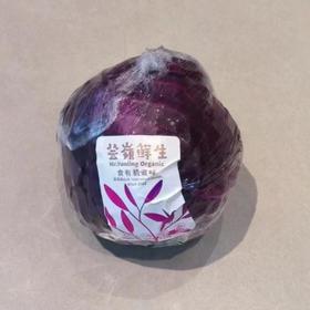 有机紫甘蓝 500g/盒