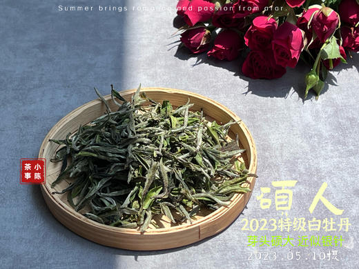 【2023春茶】2023牡丹王，今年它剥了叶子就是白毫银针，等级太“高”了 商品图1