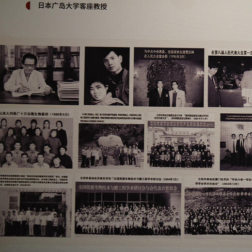 元尊蛹虫草片，高含量蛹虫草素≥6000ug 商品图2