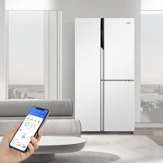 海尔（Haier）冰箱 BCD-501WLHTS79W9U1 商品图10