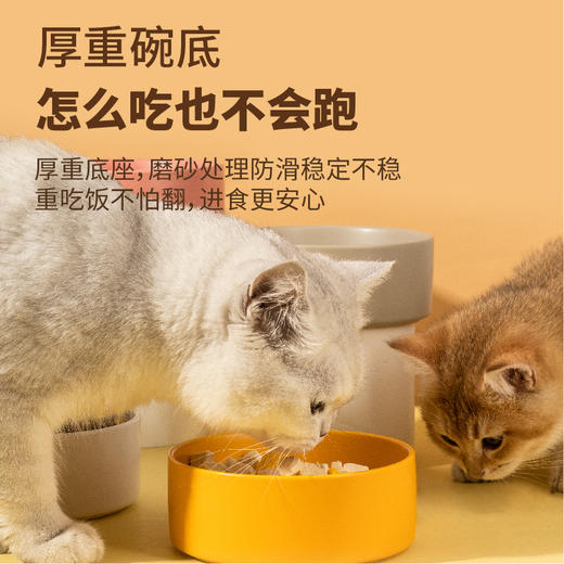 宠物陶瓷碗 釉面哑光猫碗狗碗13cm*5cm 厚重防打翻 宠物食具批发 商品图2