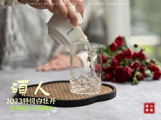 【2023春茶】2023牡丹王，今年它剥了叶子就是白毫银针，等级太“高”了 商品图12