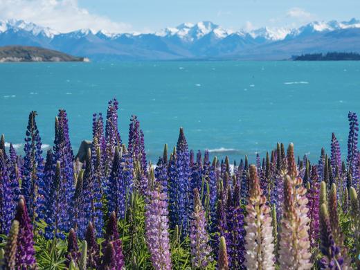 极致风光 | 新西兰南岛之旅 10天9晚 商品图1