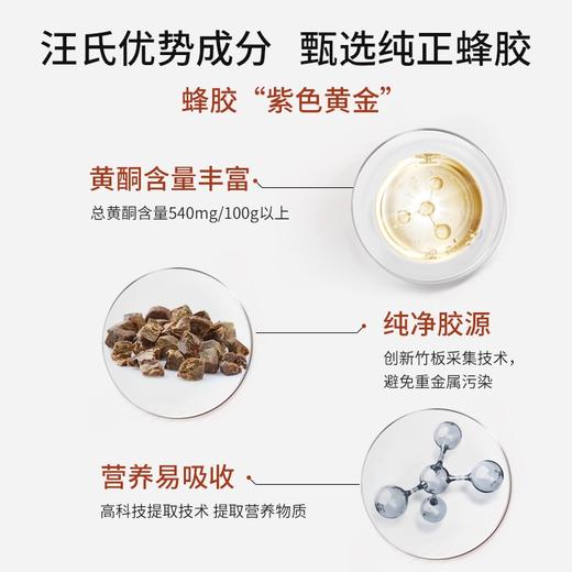 【汪氏】紫银蜂胶巢牌汪氏蜂胶软胶囊（1盒装）500mg/粒*60粒/30g（商城自建） 商品图4