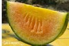 稀有西瓜 冰激凌西瓜 （皮薄如纸，口感惊艳，香甜冰爽，稀有娇贵） 商品缩略图5