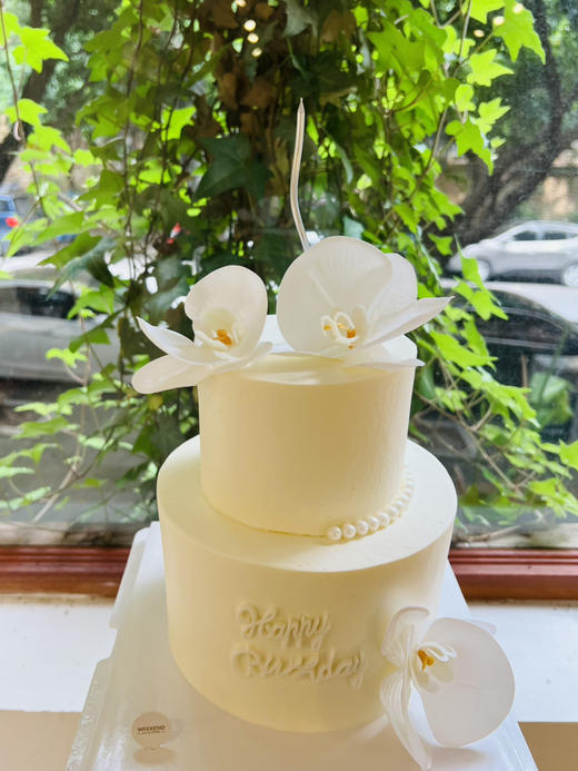 蝴蝶兰 商品图2