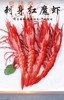 红魔虾 商品缩略图0
