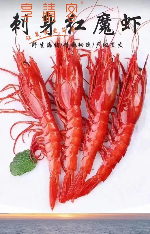 红魔虾 商品图0