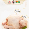 【独元】林下谷饲喂养童子鸡700g/只 商品缩略图3