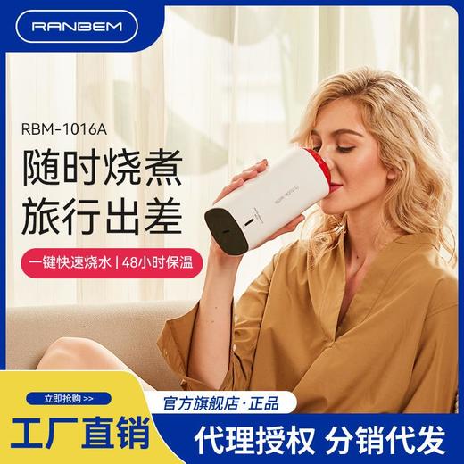 瑞本电热杯家用小容量烧水杯便携式旅行宿舍电煮杯电热水杯礼品 商品图0