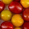 生态小西红柿 | 混搭随机 | 多口味 酸甜多汁 | 石嫣农场 * Eco-friendly Cherry Tomatoes 商品缩略图5