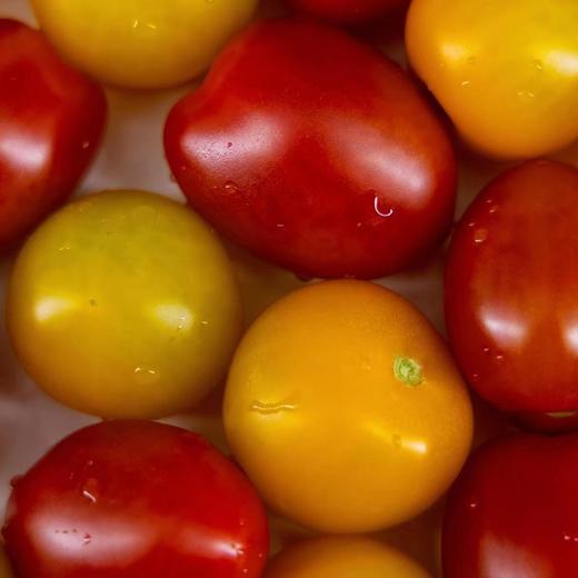 生态小西红柿 | 混搭随机 | 多口味 酸甜多汁 | 石嫣农场 * Eco-friendly Cherry Tomatoes 商品图5