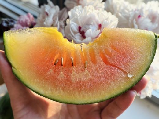 稀有西瓜 冰激凌西瓜 （皮薄如纸，口感惊艳，香甜冰爽，稀有娇贵） 商品图2