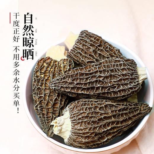 大槐树村羊肚菌50g 商品图0