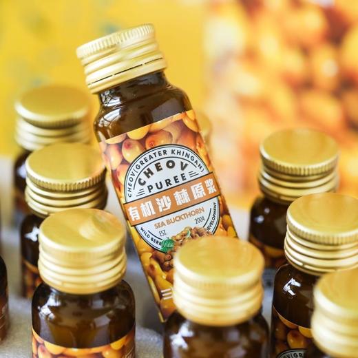 森林果园有机沙棘果原浆50ML*20瓶 商品图5