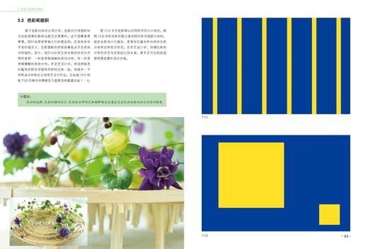 花艺色彩设计原理 商品图13