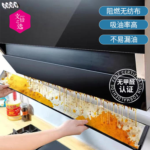 【文怡之选】GRAREY 油烟机吸油棉 阻燃无纺布材质 四层复合 强劲吸污 不易漏油 自由裁剪 99%通用接油槽 10片*3包装 商品图1