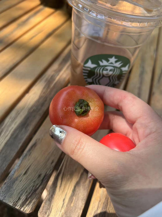 阿林丑番茄 商品图7