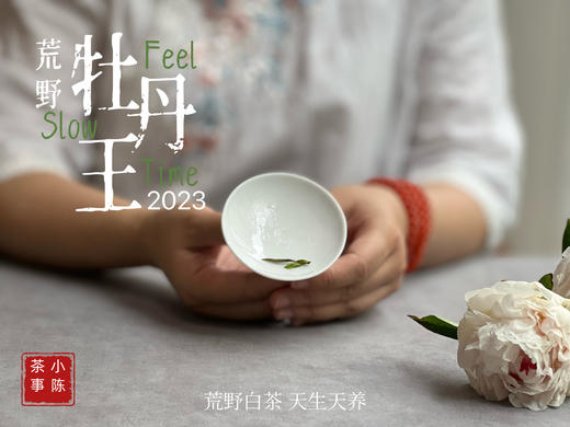 【2023春茶来了】2023荒野牡丹王，如胶似漆，如浆似汤，像是上游的浣花溪里，有美人滴下了几滴珍贵的花露 商品图11