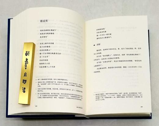 《海子抒情诗全集》（评注典藏版），精装，32开，海子著，陈可抒注释，四川人民出版社2019年版，804页，定价128，售价38元。非偏远地区包邮。 商品图9