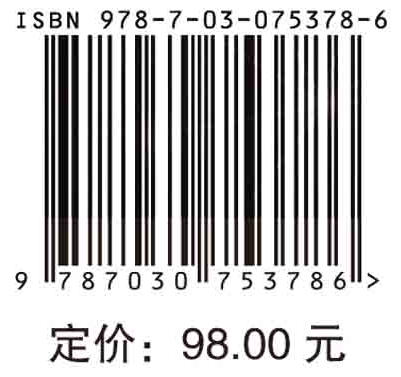 地理空间关联模式挖掘的理论与方法 商品图2