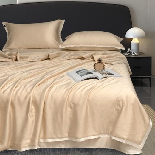 洁丽雅K莱赛尔100支夏凉被空调被夏季凉感高档夏被可机洗薄款被芯 商品图1