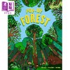 【中商原版】Pop-Up Forest 森林立体书 英文原版 进口图书 儿童自然绘本 自然科学立体图画书 玩具书6-8岁儿童读物精装童书 商品缩略图0