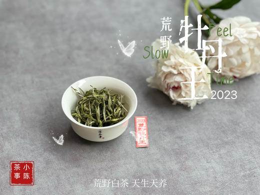 【2023春茶来了】2023荒野牡丹王，如胶似漆，如浆似汤，像是上游的浣花溪里，有美人滴下了几滴珍贵的花露 商品图2