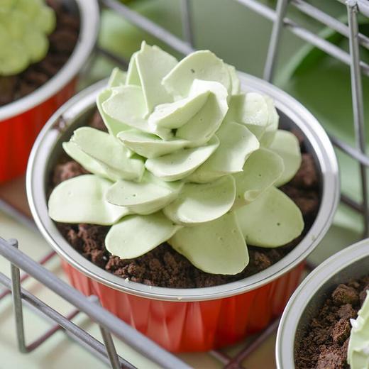 绿色多肉蛋糕50g 商品图1