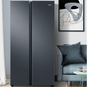 海尔（Haier）冰箱 BCD-616WGHSSEDC9