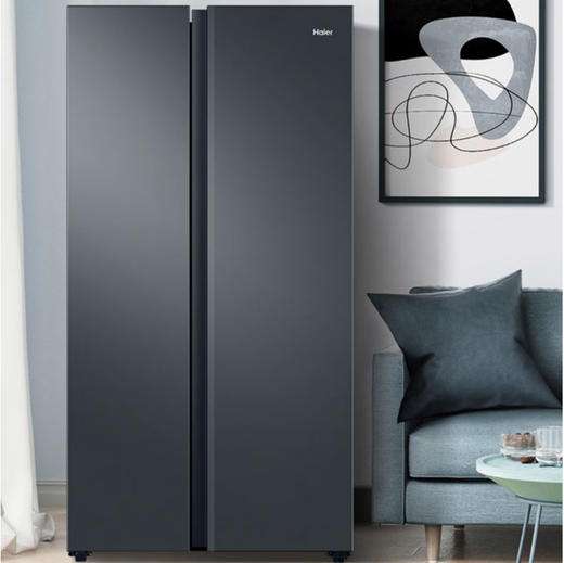 海尔（Haier）冰箱 BCD-616WGHSSEDC9 商品图0