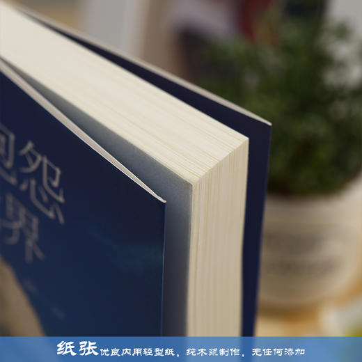 不抱怨的世界 商品图3