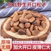 HEB东北松子  500g袋装 商品缩略图0