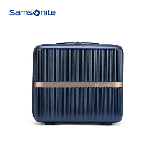 新秀丽MINTER网红摩登小流金箱可肩背迷你PC材质小拉杆箱HH5*005 商品图2