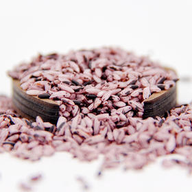 云南普洱墨江紫米500g/1000g  两种规格可供选择