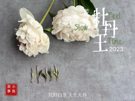 【2023春茶来了】2023荒野牡丹王，如胶似漆，如浆似汤，像是上游的浣花溪里，有美人滴下了几滴珍贵的花露 商品图5