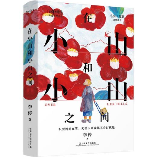在小山和小山之间（妈妈能给的爱，就是一次又一次得体地退出我的生命。毛尖、郑执动情推荐） 商品图0