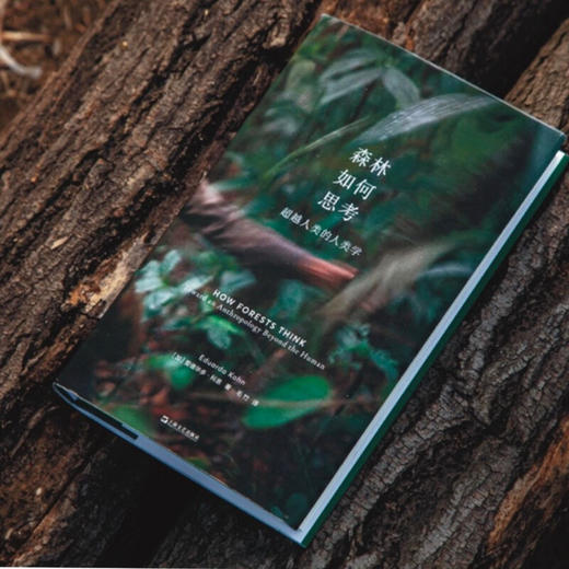 森林如何思考 超越人类的人类学 爱德华多·科恩 著 社会科学 商品图2