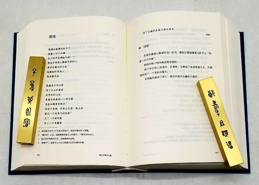 《海子抒情诗全集》（评注典藏版），精装，32开，海子著，陈可抒注释，四川人民出版社2019年版，804页，定价128，售价38元。非偏远地区包邮。 商品图11