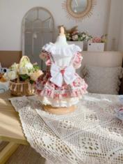 艾狄斯宠物服饰及饰品 商品图5