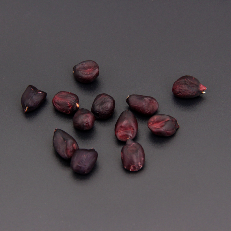 云南普洱黑花生500g/1000g  两种规格可供选择