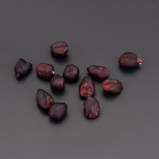 云南普洱黑花生500g/1000g  两种规格可供选择 商品图0