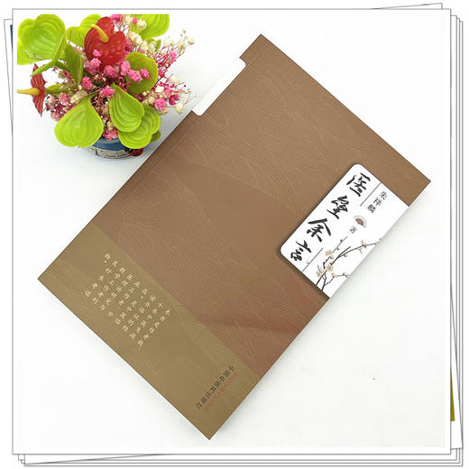 医垒余言 朱祥麟 著 中国中医药出版社 内经伤寒论金匮要略备急千金要方中医临床书籍 商品图2