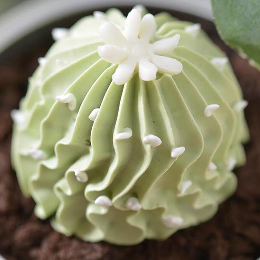 仙人掌蛋糕50g 商品图2