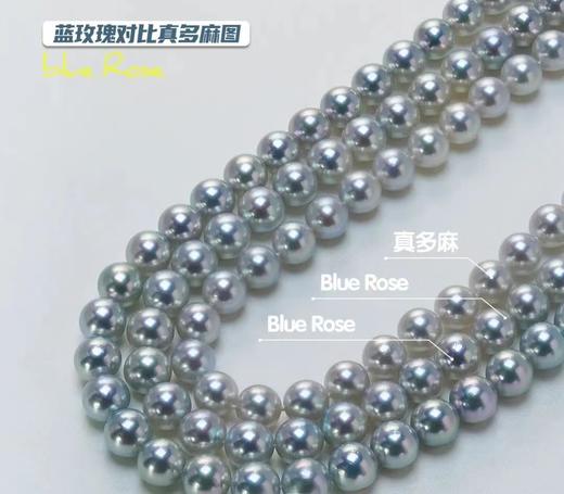 7.5-8mm 蓝玫瑰海水珍珠项链 商品图5