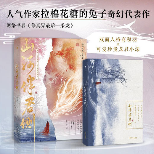 山河伴君侧 拉棉花糖的兔子 著 青春文学 商品图0